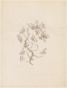 Print (Frankrig) af Unbekannt