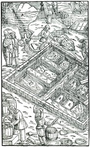 Fremstilling af salt ved at fordampe havvand i saltpander, 1556 af Unbekannt