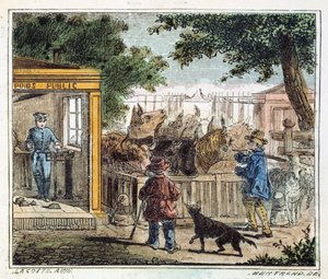 Offentlig brovægt bruges til at veje kvæg på et marked, 1867 af Unbekannt