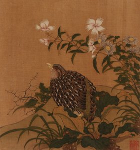 Vagtel og blomster, Qing-dynastiet, 1700-tallet. af Unbekannt