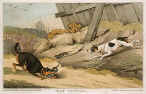 Rottejagt, 1823 af Unbekannt