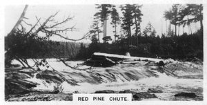 Red Pine Chute, Canada, c1920