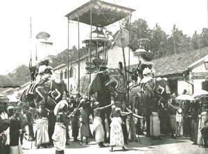 Religiøs procession, Colombo, Ceylon, 1895. af Unbekannt
