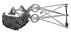 Rene Descartes idé om syn, der viser funktionen af øjet, synsnerven og hjernen, 1692 af Unbekannt