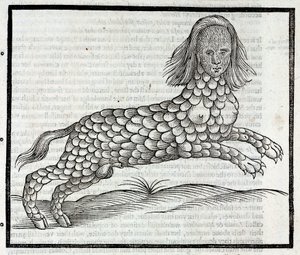 "Representation de la creature Lamia (Sybaris) Dybtryksdæk af "History of Four-Footed Beastes" d