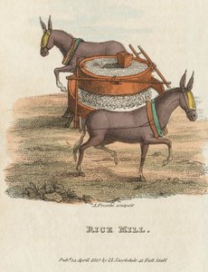 Rismølle, 1813 af Unbekannt