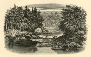 River Scene, Langdale, c1890. af Unbekannt