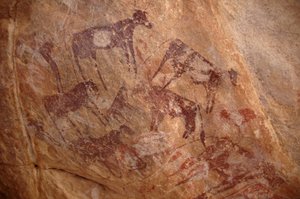 Klippekunst, forhistorie: Maleri af en gruppe kvæg og karakterer i et udsmykket husly i Uweinat-massivet, Sudan (Karkur-Talh eller Karkur Talh). Periode fra 8000 til 3000 år f.Kr. Fotografering af Unbekannt
