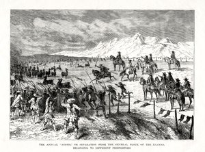 Rodeo, Sydamerika, 1877 af Unbekannt