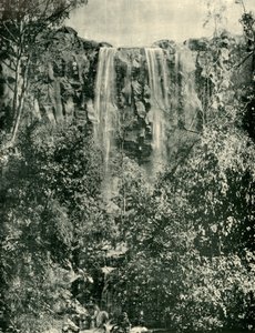 Sailors Creek Falls, Daylesford, 1901. af Unbekannt