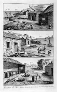 Saltning, vask, pakning af sardiner, 1751-1777 af Unbekannt