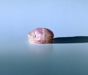 Scarabee i ametyst, oldægyptisk, 13. århundrede f.Kr af Unbekannt
