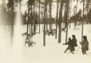 Sverige. Rag (frø), når man fanger et rensdyr. Omkring 1900 af Unbekannt