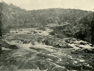 Andet bassin, South Esk River, 1901. af Unbekannt