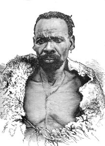 Træ, c1880 af Unbekannt