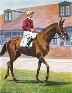 Senor, Jockey: J. Crouch, 1939 af Unbekannt
