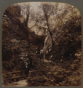 Shanklin Chine af verdensomspændende berømmelse, Isle of Wight, England, c1910. af Unbekannt