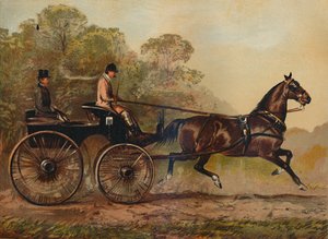 Enkeltsele Phaeton Horse Columbine. Ejendom af Charles Baynes Esq., 1872, c1879 af Unbekannt