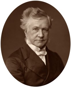 Sir Robert Lush, dommer ved High Court of Justice, 1881 af Unbekannt
