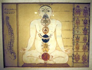 Seks chakraer, der repræsenterer den menneskelige krops plexus, Tanjore, Tamil Nadu, c1850 af Unbekannt