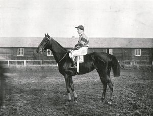 Skyskraber, 1911. af Unbekannt