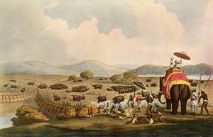Sport i Indien - At køre elefanter ind i en Keddah, c1808, 1901. af Unbekannt