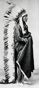 Stående bjørn, høvding for Dakota Sioux, North American Plains Indians, c1885-c1890 af Unbekannt