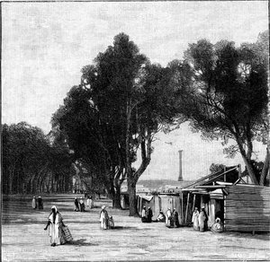 Gadebillede med Pompeys-søjlen i det fjerne, Alexandria, Egypten, 1900 af Unbekannt