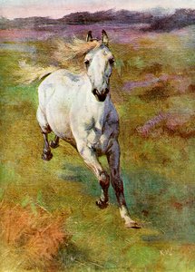 Studie fra Life for Colt Hunting in the New Forest, 1899 af Unbekannt
