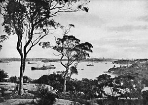 Sydney Harbour, fra Cremorne Point, c1900. af Unbekannt