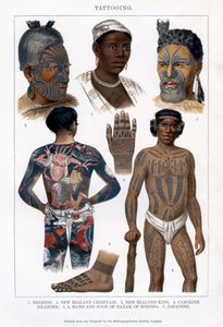 Tatovering, 1800-1900 af Unbekannt