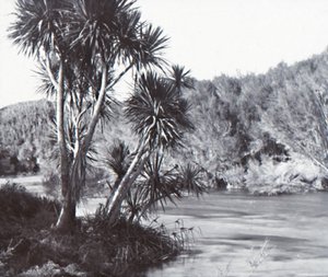 Te Waihou River, Okoroire, slutningen af det 19.-begyndelsen af det 20. århundrede. af Unbekannt