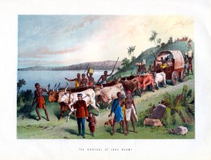 Ankomsten til Ngami-søen, 1800-tallet af Unbekannt