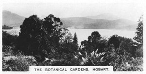 Den botaniske have, Hobart, Tasmanien, 1928 af Unbekannt