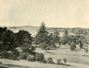 Sydneys botaniske have, 1901. af Unbekannt