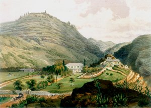 The Briars, St. Helena, begyndelsen af det 19. århundrede 1851 af Unbekannt
