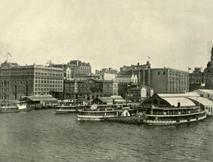The Circular Quay, Sydney, 1901. af Unbekannt