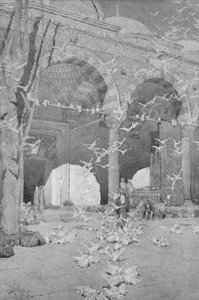 Duemoskeens gårdhave, 1913 af Unbekannt