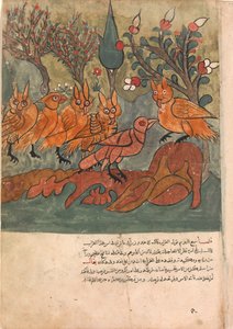 Kragespionen taler med uglernes konge og hans ministre, Folio fra en Kalila..., 1700-tallet. af Unbekannt