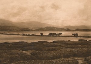 Duen ved Ynyslas, 1902 af Unbekannt