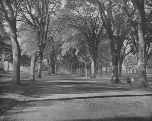 The Elms, New Haven, Connecticut, USA, c1900. af Unbekannt