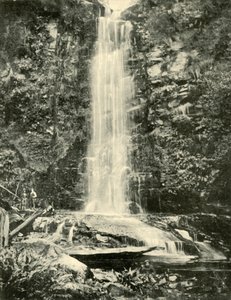 Erskine Falls, nær Lorne, 1901. af Unbekannt