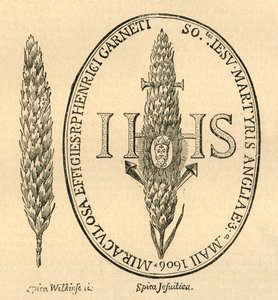 Ansigtet i Halmen. - Fra Abbots Anthologia, 1613, 1897. af Unbekannt