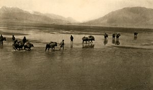 Den første udsigt over Mount Everest, c1918-c1939. af Unbekannt