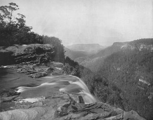Fitzroy Falls, 1800-tallet af Unbekannt