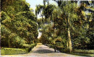 The Flower Walk, Kensington Gardens, London, 20. århundrede af Unbekannt