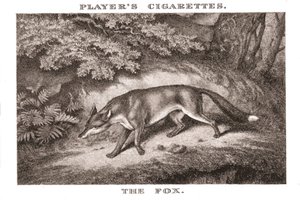 The Fox, 1924.  af Unbekannt
