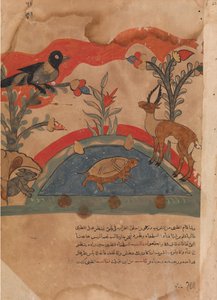 Gazellen bliver venner med kragen, musen og skildpadden..., 1700-tallet. af Unbekannt
