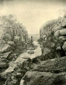 The Gorge, Buffalo Falls, Victorian Alps, 1901. af Unbekannt