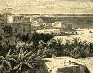 Den Store Havn i Alexandria, 1890. af Unbekannt